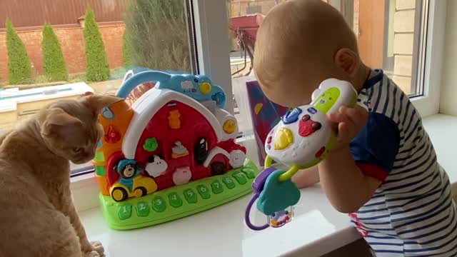 Cute baby playing with cat