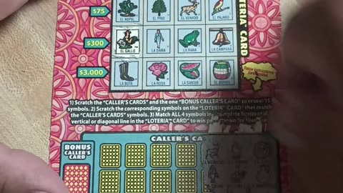 Daily Gamble for a Jackpot 075