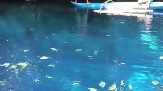 Enchanted River Truly Magical and Majestic - Surigao Philippines