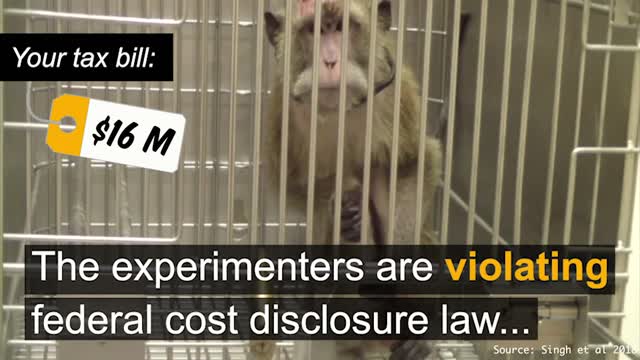 Unspeakable Crimes Committed In America’s Laboratories
