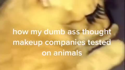 The most beautiful never laugh from your heart but this cat ate