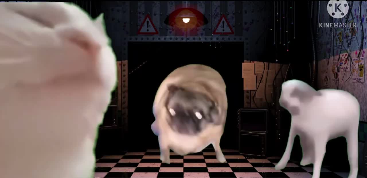 Dancing Dog, Vibing Cat and Pug Dancing to FNAF 2 Puppet Music Box