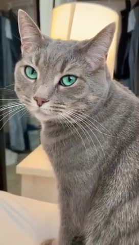 OMG-cute and funny baby 😍