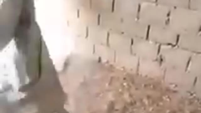 Crazy man hits the poor dog🥺