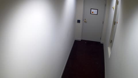 7019CVCSLHallnearStair13-HVC303_2021-01-06_02h00min00s500ms.mp4