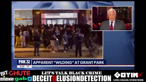 BLACK ON WHITE CRIME REPORT