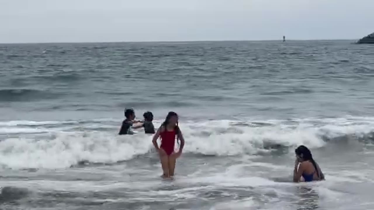 Beach : Travel to Florida - vacation in Live USA 🏖️🇺🇸 Live