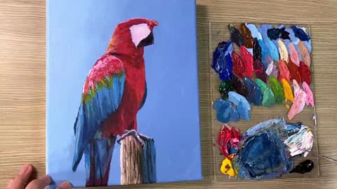 Acrylic Painting Parrot Bird_p29