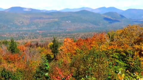 Fall Foliage