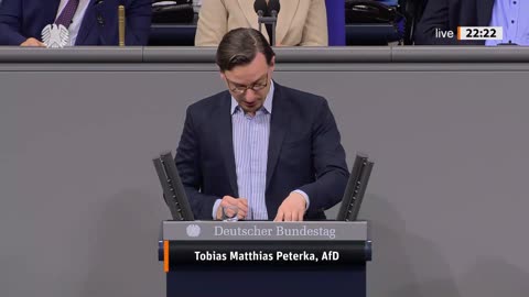 Tobias Matthias Peterka Rede vom 17.10.2024 (2) – Rückgabe von NS-entzogenem Kulturgut