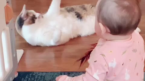 Cute baby and Cat