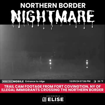 NORTHERN BORDER NIGHTMARE: Trail Cam Footage From Fort Covington, NY Of Illegal Immigrants Crossing