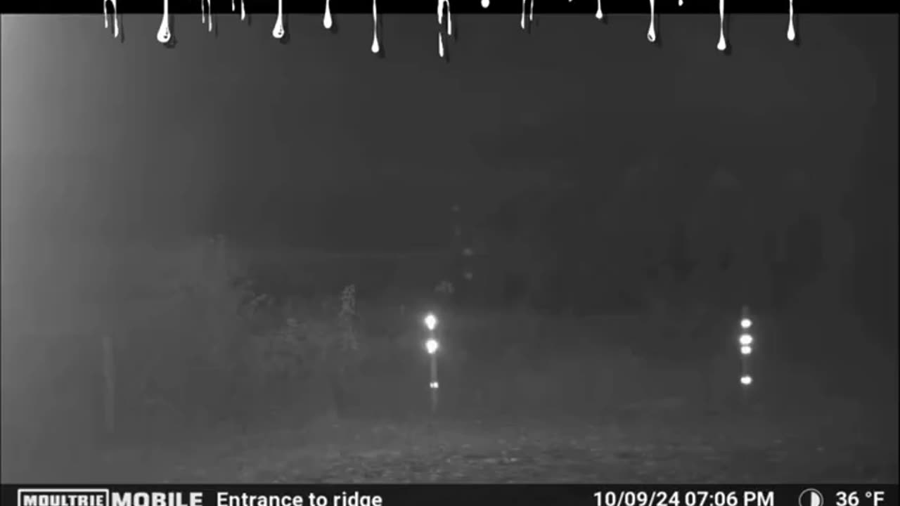 NORTHERN BORDER NIGHTMARE: Trail Cam Footage From Fort Covington, NY Of Illegal Immigrants Crossing