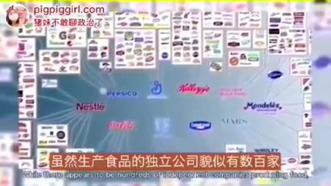 Families & Companies controlling the world