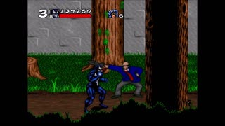 Maximum Carnage Gameplay