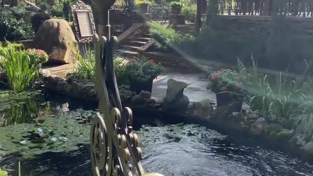 Beautiful Logopark