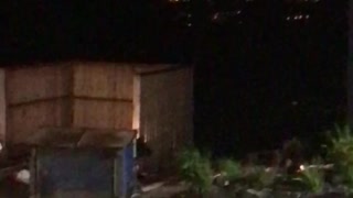 Black Bear Flips Dumpster