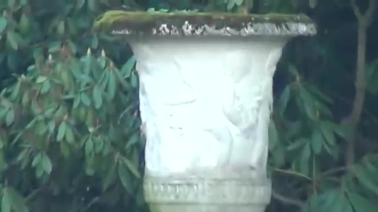 OCTAGON SWISS SLEEPER AGENTS IN USA - THE 2 V IS THE PROTECTION OF THE ROYAL PHARAONIC REPTILIAN EMP