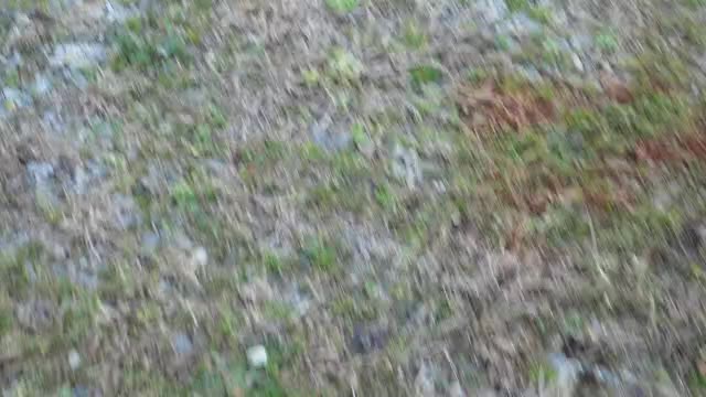 Reinforced Stove Pipe w/ hose clamps. 6 bricks short of a load. Draggin' tha Washer