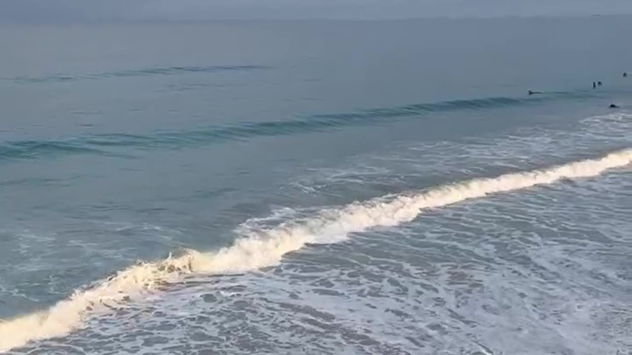 Surfers Looking to Get Lucky