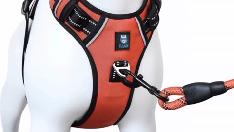 Take a look at this Hank Dog Safety Harness on Flipkart