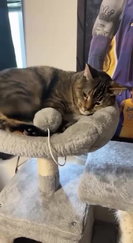 Weekends are for rest and relaxation 🤣