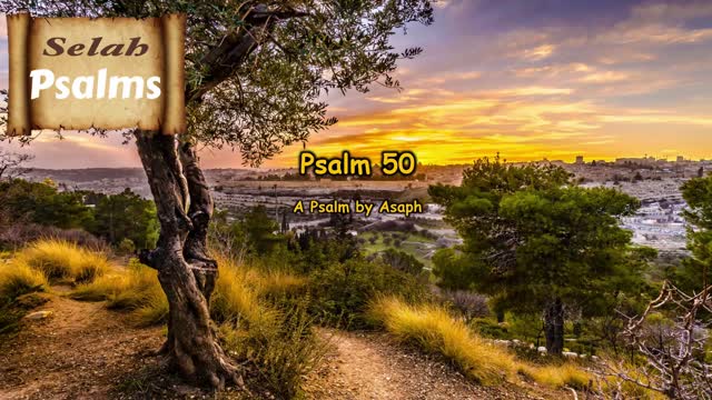 The Selah Psalms Project