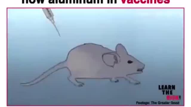 ALUMINIUM IN VAXXINES -CAUSE BRAIN DAMAGE