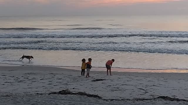 Kids on the beach