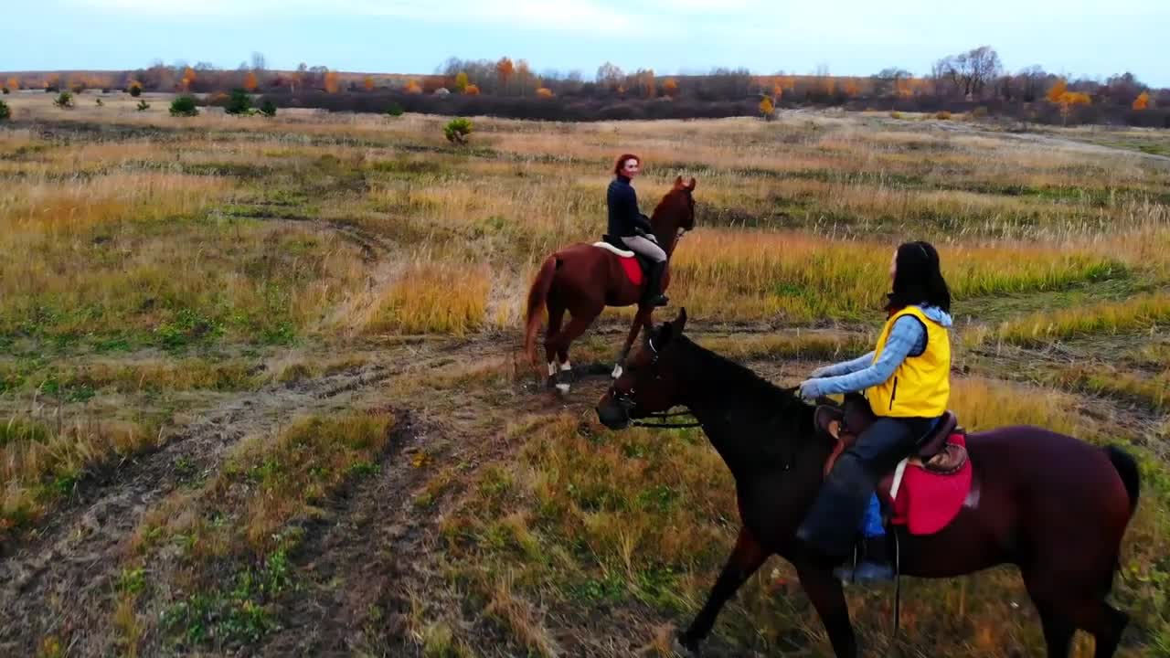 Two beautiful horses with equestrians are going in circle on the field