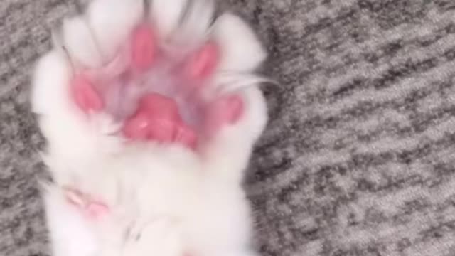 To protect the claw cream5