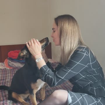 The puppy gets incredible pleasure when he is scratched