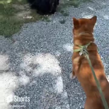 it is awkward to meet new friends