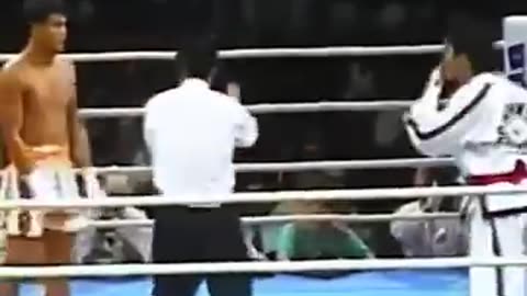 Taekwondo Vs. Muay Thai