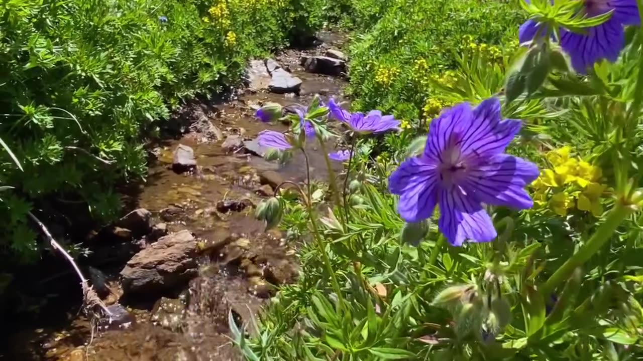 Gilgit baltistan