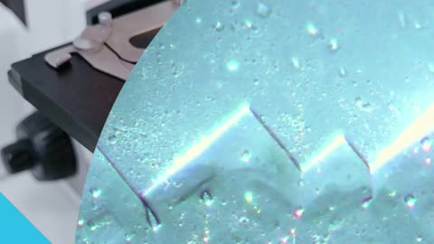 ESTO ES SOLO ALGO DE LO QUE TIENE ...