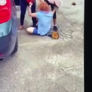 Teens beating up a mail delivery woman