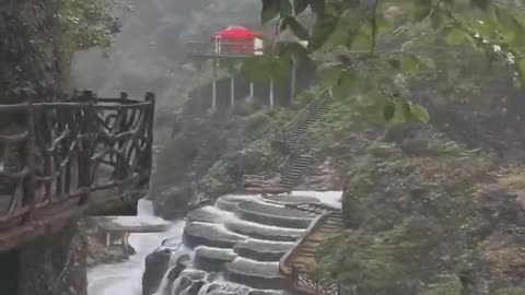 The river; Nature; The scenery