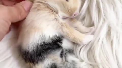 What a cute baby 🥰