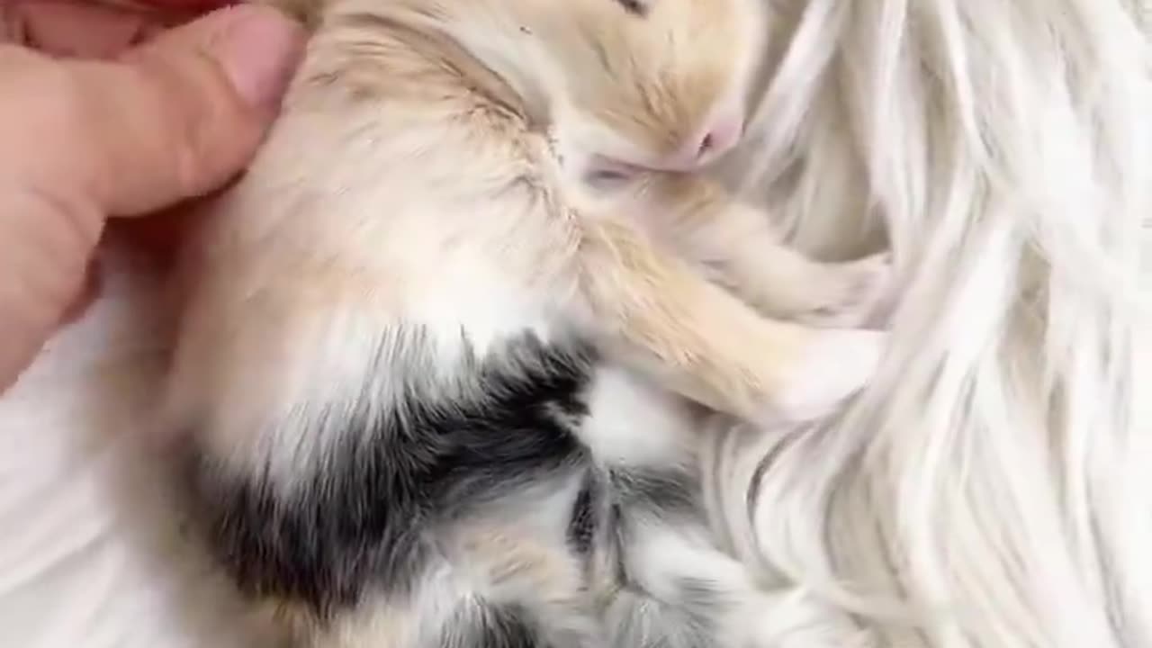 What a cute baby 🥰