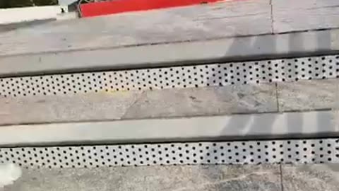 fatty demon pig - 2024 - October 7th