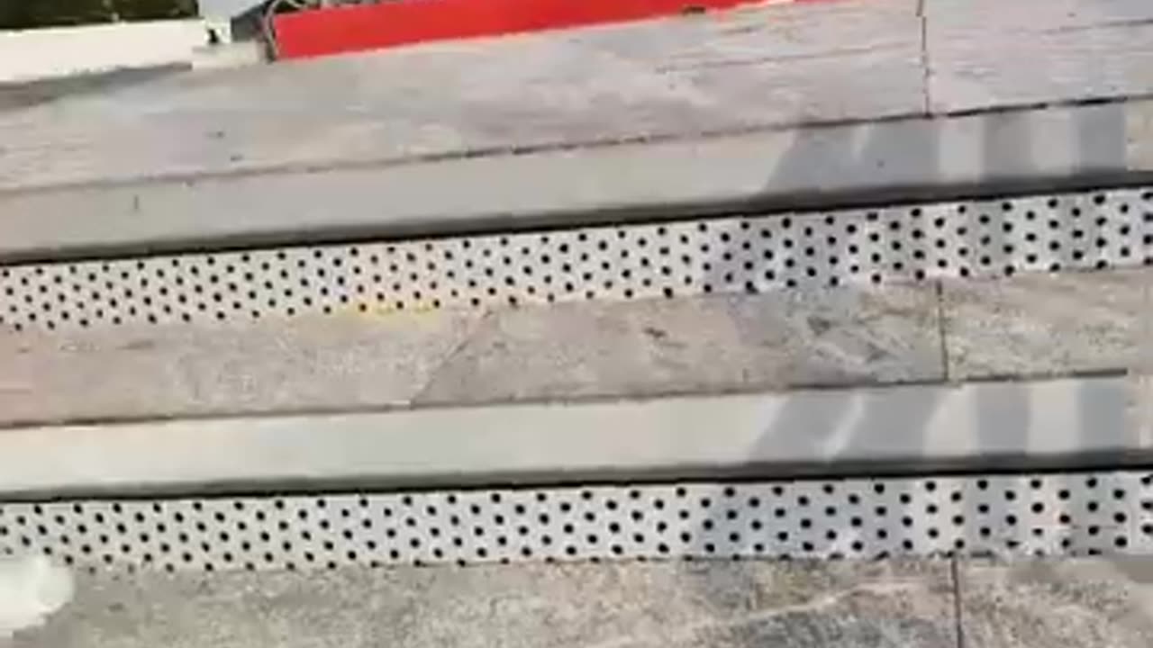 fatty demon pig - 2024 - October 7th