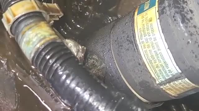 The situation is not good. Car repair