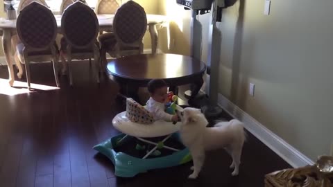 baby sharing his toy with the dog