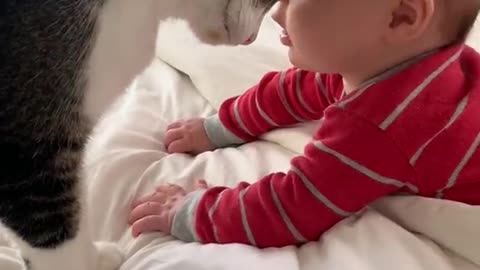 Funny cat with baby 😁