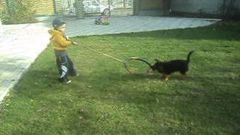 Little boy plays with puppy