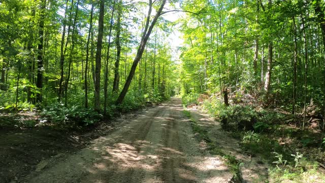 Tomahawk Loop B single track