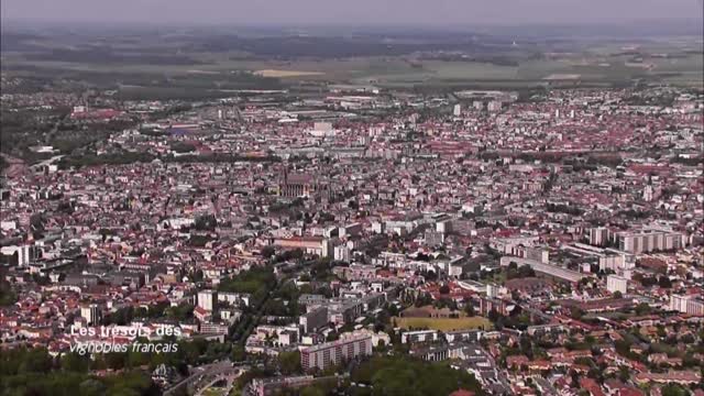Les trésors des vignobles français35