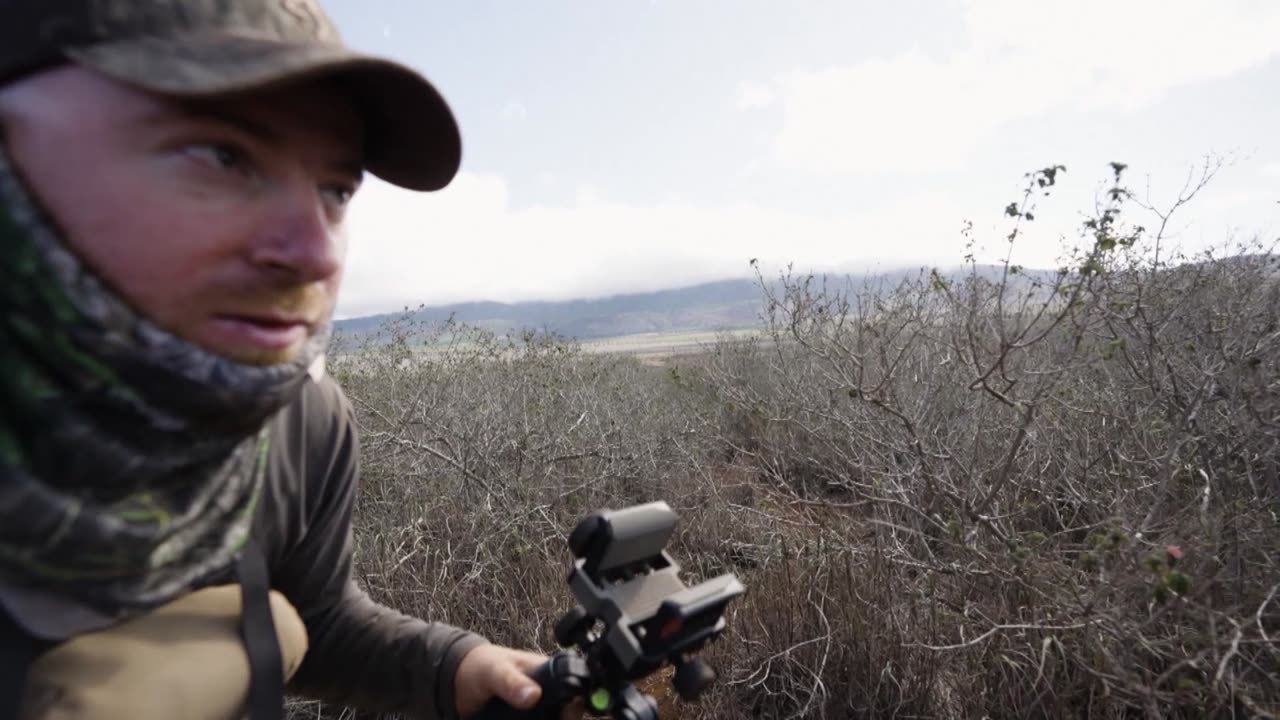 Hawaiian Deer Hunt