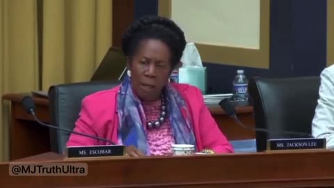 Democrat Sheila Jackson says George Soros is an American Patriot 😂😂